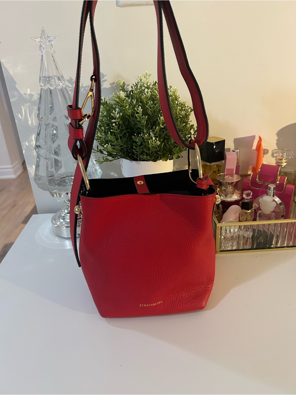 Authentic Strathberry lana Bucket Bag - adjustable strap